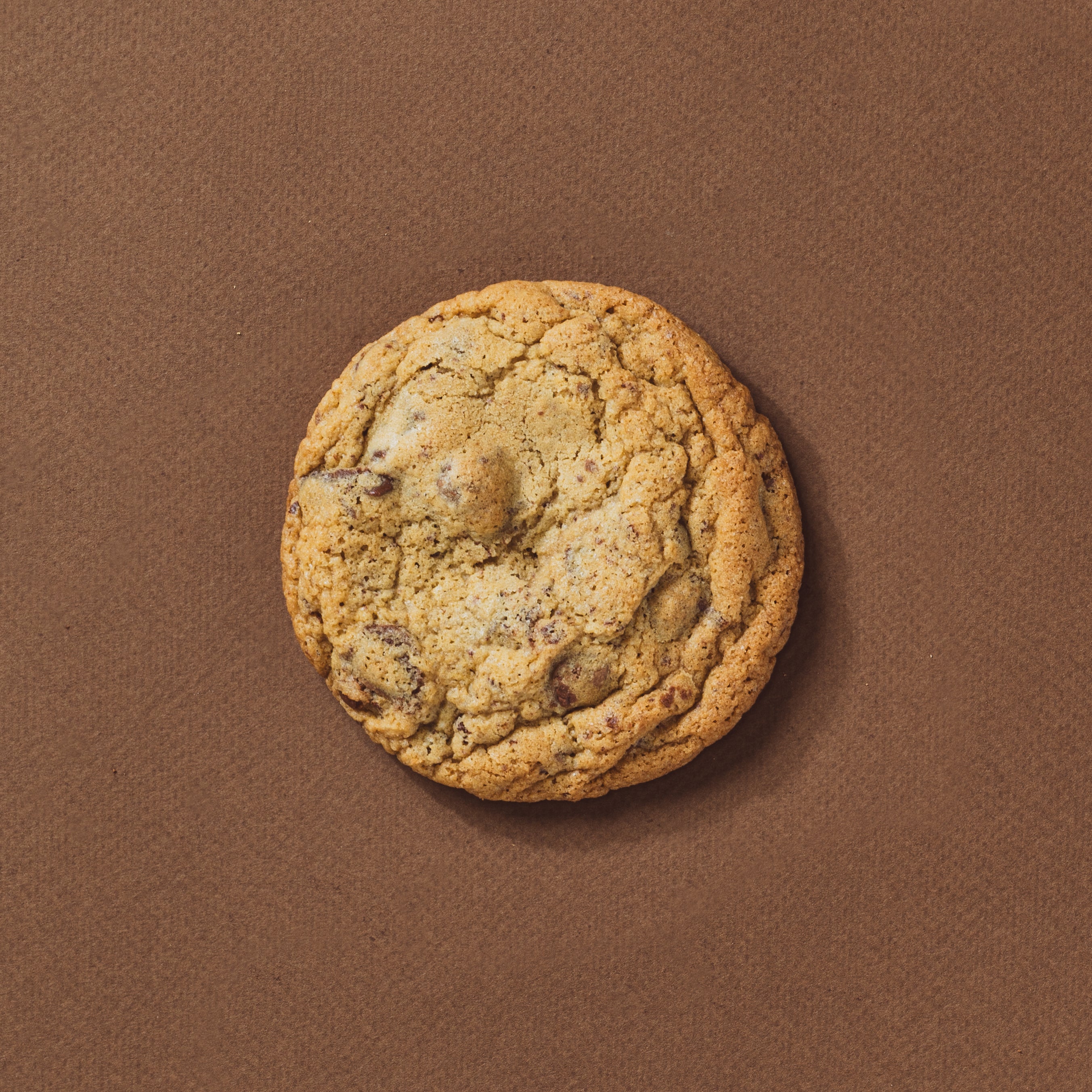 Double Choc Chunk Cookie