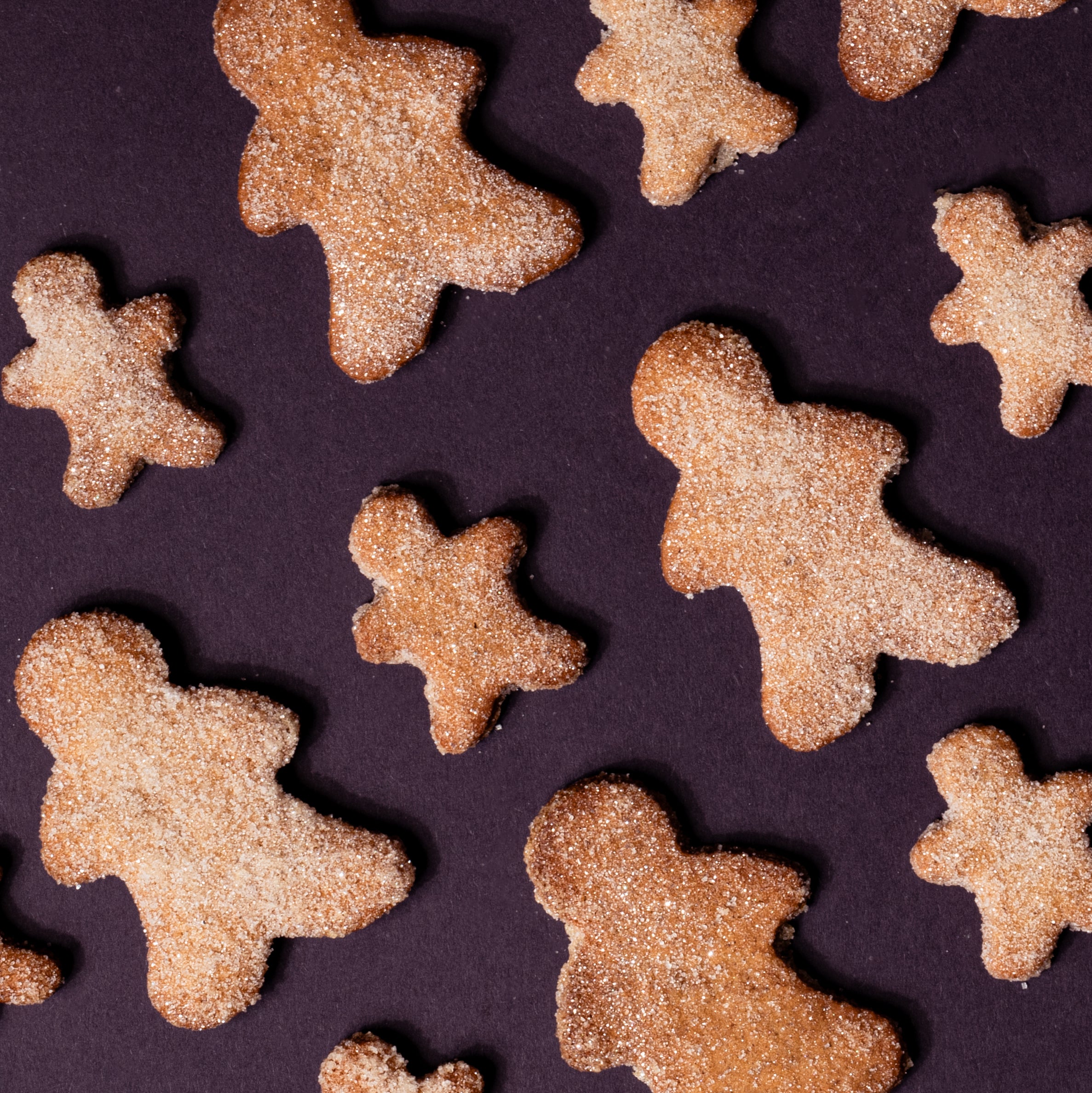 Gingerbread Family