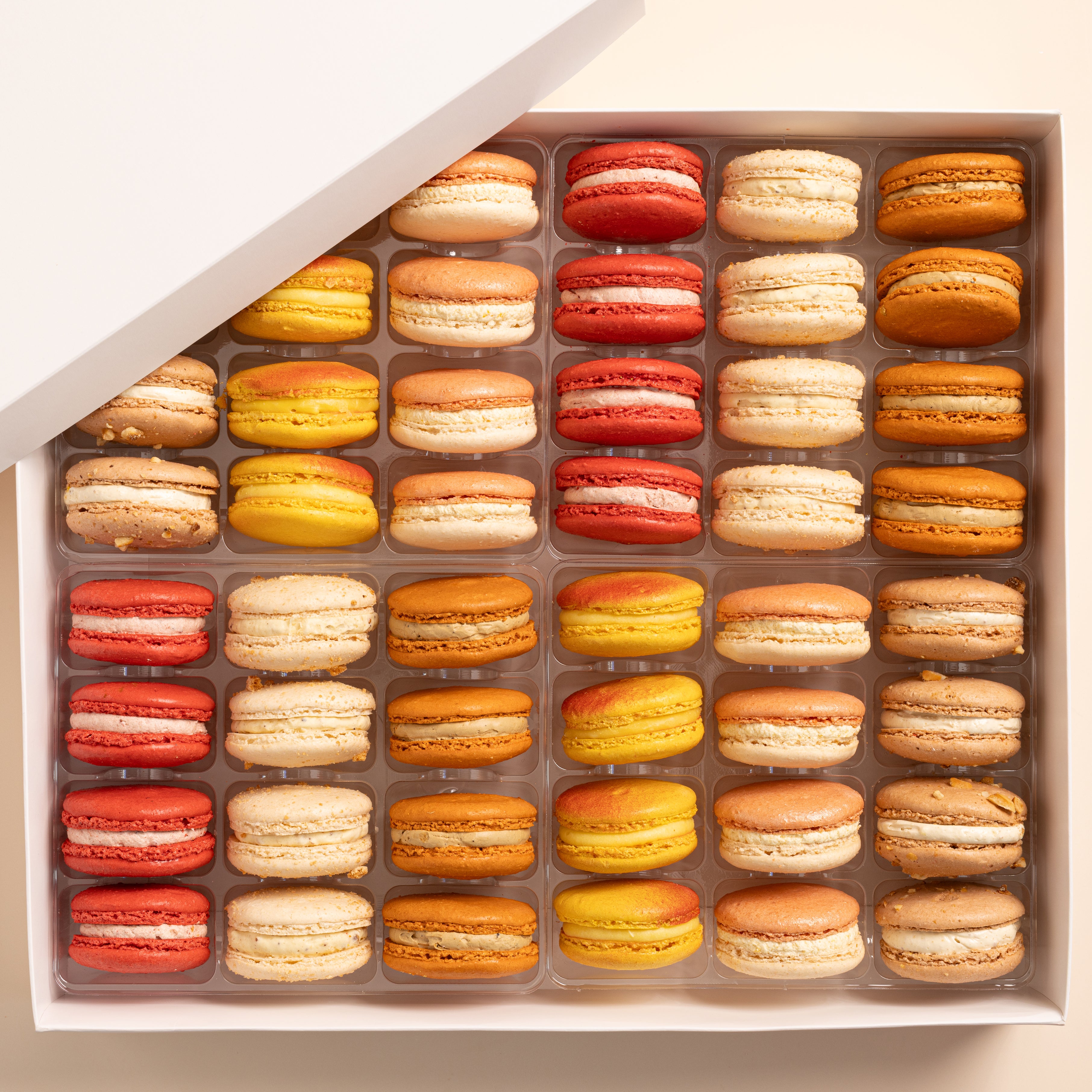 Summer Collection - Deluxe Box of 48