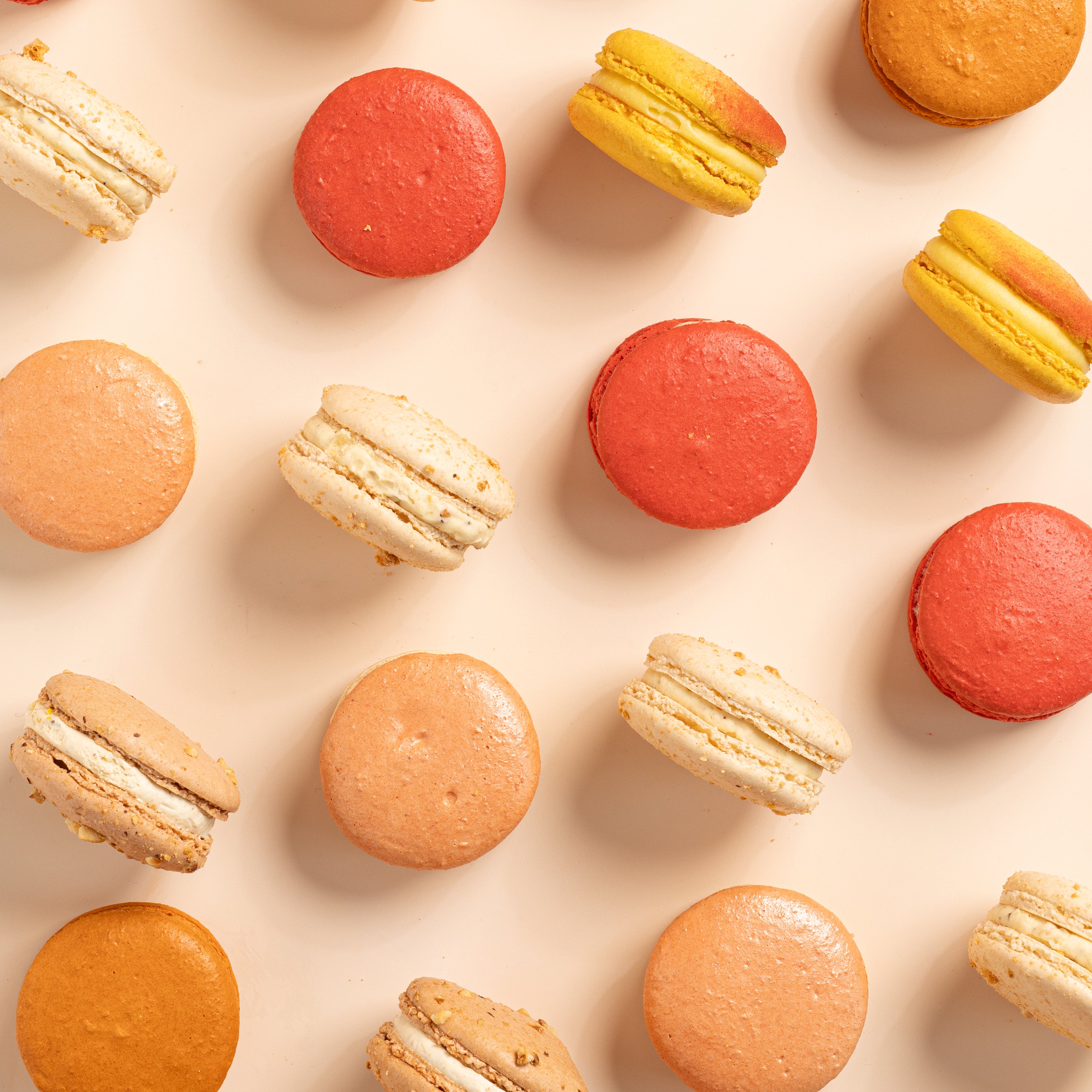 Summer Collection - Box of 12